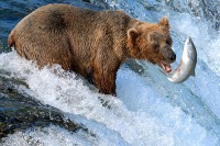 /album/kanahier-kanada/incentive-mit-epsilon-telecom-nach-kanada-fliegen-very-large-jpg/